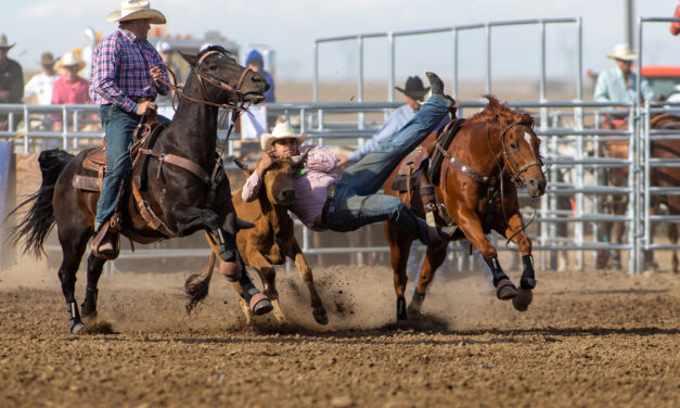 PRCA Pro Rodeo Big Bend Round Up Results