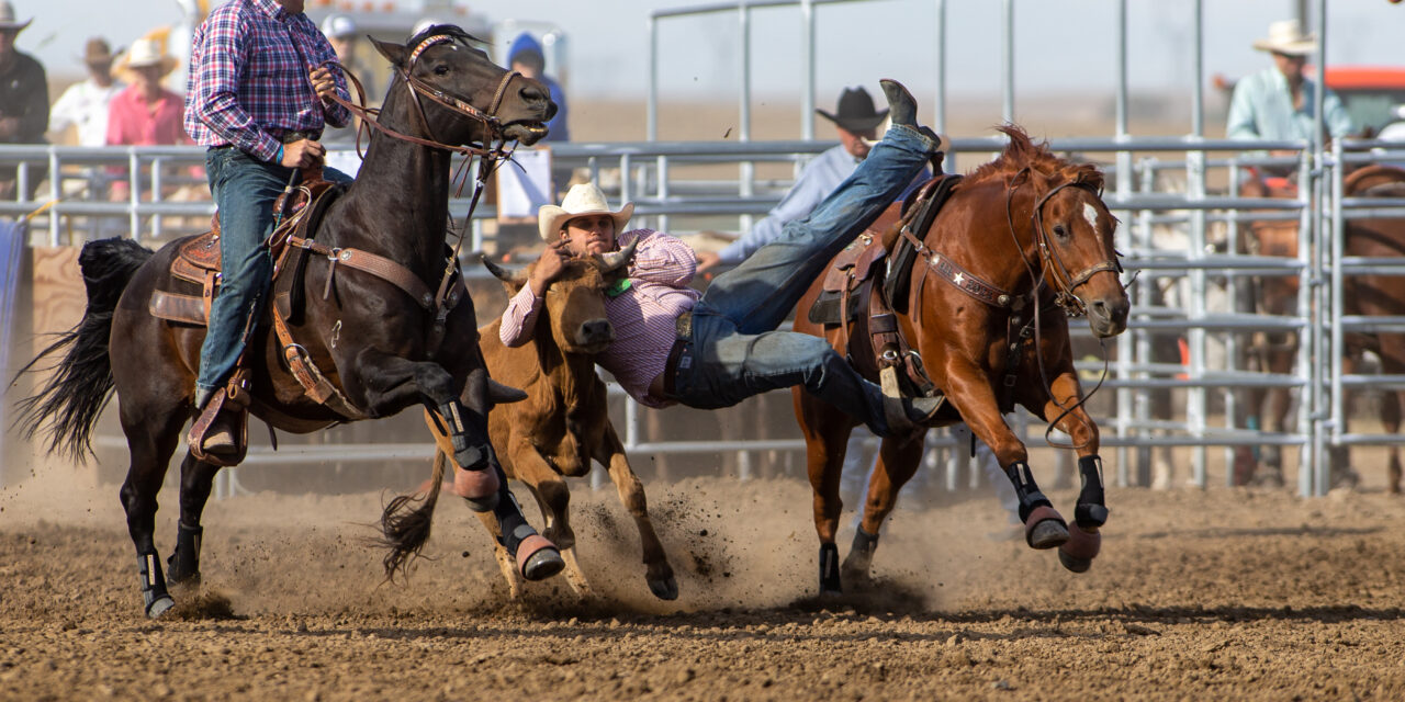PRCA Pro Rodeo Big Bend Round Up Results
